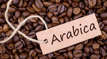 قهوه عربیکا چیست