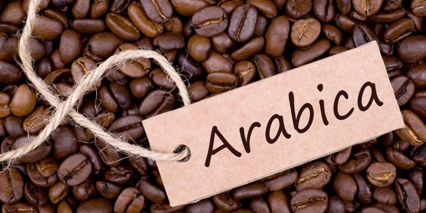 قهوه عربیکا چیست